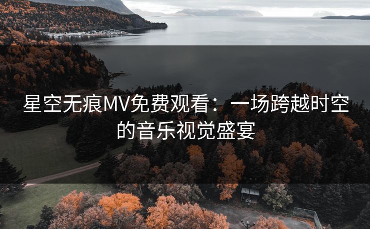 星空无痕MV免费观看：一场跨越时空的音乐视觉盛宴