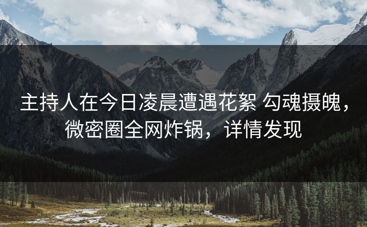 主持人在今日凌晨遭遇花絮 勾魂摄魄，微密圈全网炸锅，详情发现