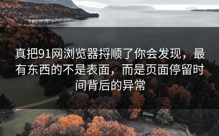 真把91网浏览器捋顺了你会发现，最有东西的不是表面，而是页面停留时间背后的异常